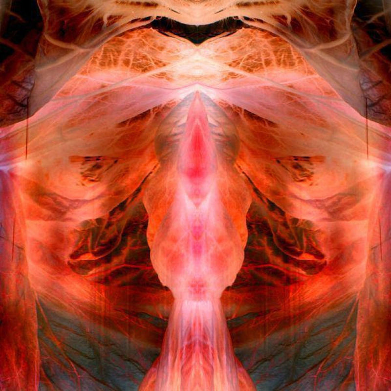 The Annihilating Angel Or the Surface of the World