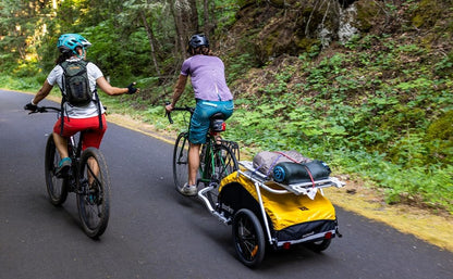Burley Nomad Cargo Rack