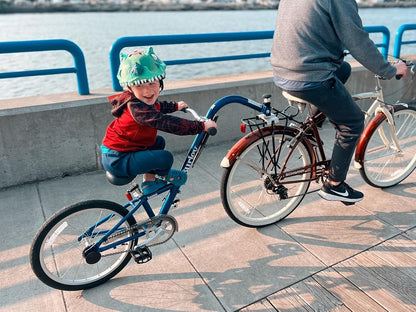 Burley Kazoo Chain Guard