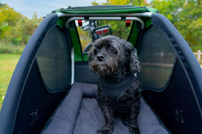 Burley Pet Bed, XL