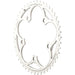 Campagnolo Athena 50x34 C/Ring Sil 11x