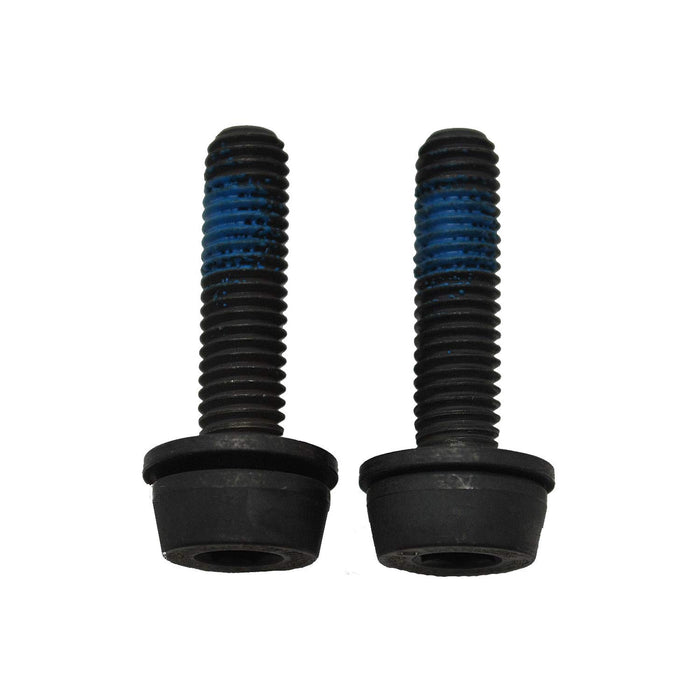 Campagnolo 10-14mm Rear Mount Screws 19mm x2