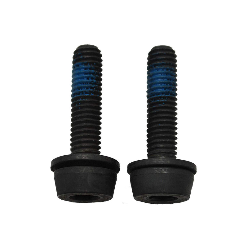 Campagnolo 25-29mm Rear Mount Screws 34mm x2