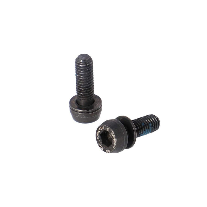 Campagnolo Front Caliper Screws (2pk)