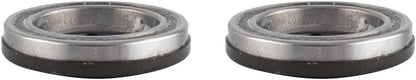 Campagnolo Pro-Tec Bearings & Seals 2pc
