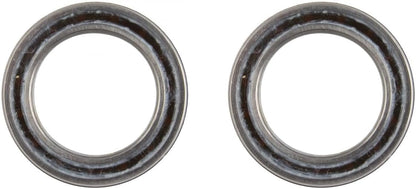 Campagnolo Pro-Tec Bearings & Seals 2pc