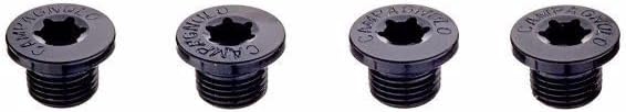 Campagnolo Ekar Crankset Screws (Pcs)