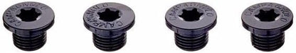 Campagnolo Ekar Crankset Screws (Pcs)
