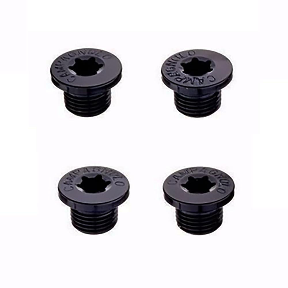 Campagnolo Ekar Crankset Screws (Pcs)