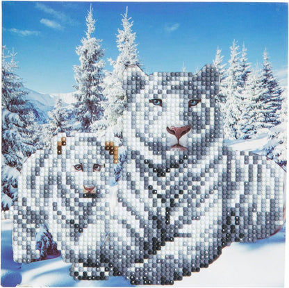 White Tigers 18x18cm Crystal Art Card