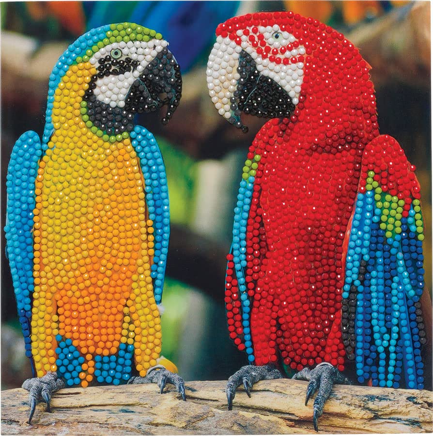 Parrot Friends 18x18cm Crystal Art Card