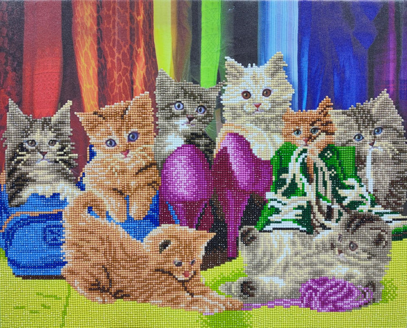 Kitten Footware 40x50cm Crystal Art Kit