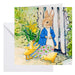 Peter Rabbit and Chicks 18x18cm Crystal Art Card