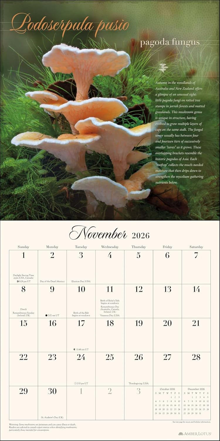 The Miraculous Mushroom 2026 Wall Calendar: With Fabulous Fungi Facts