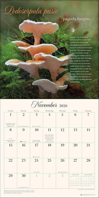 The Miraculous Mushroom 2026 Wall Calendar: With Fabulous Fungi Facts