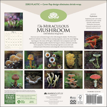 The Miraculous Mushroom 2026 Wall Calendar: With Fabulous Fungi Facts