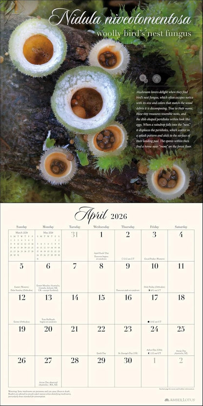 The Miraculous Mushroom 2026 Wall Calendar: With Fabulous Fungi Facts