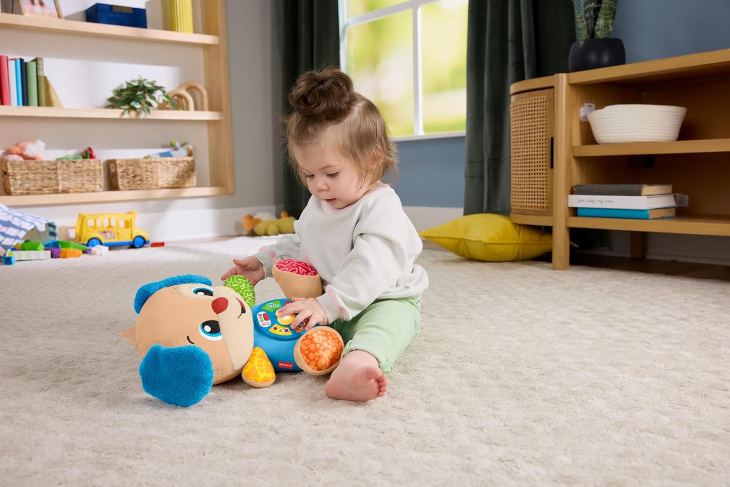 Fisher-Price, Toy, JFD21