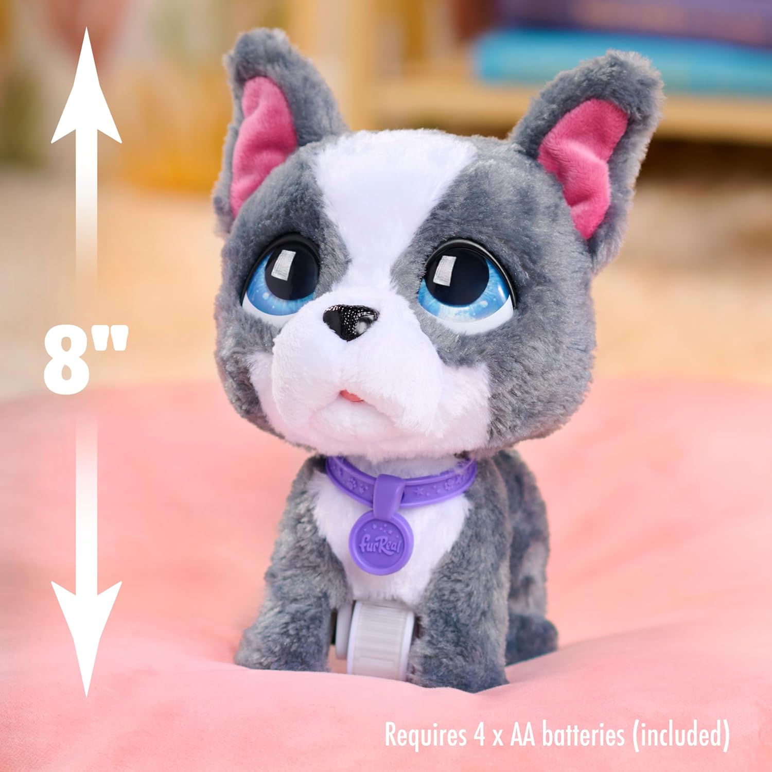 Just Play furReal Walk-A-Lots French Bulldog, interaktives Spielzeug, 20,3 cm großer, laufender Plüschwelpe mit Soundeffekten, 4-teilig, Kinderspielzeug ab 4 Jahren