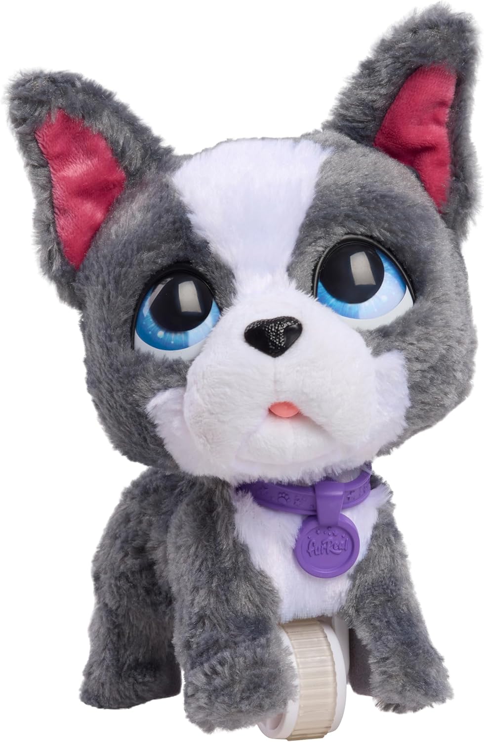 Just Play furReal Walk-A-Lots French Bulldog, interaktives Spielzeug, 20,3 cm großer, laufender Plüschwelpe mit Soundeffekten, 4-teilig, Kinderspielzeug ab 4 Jahren