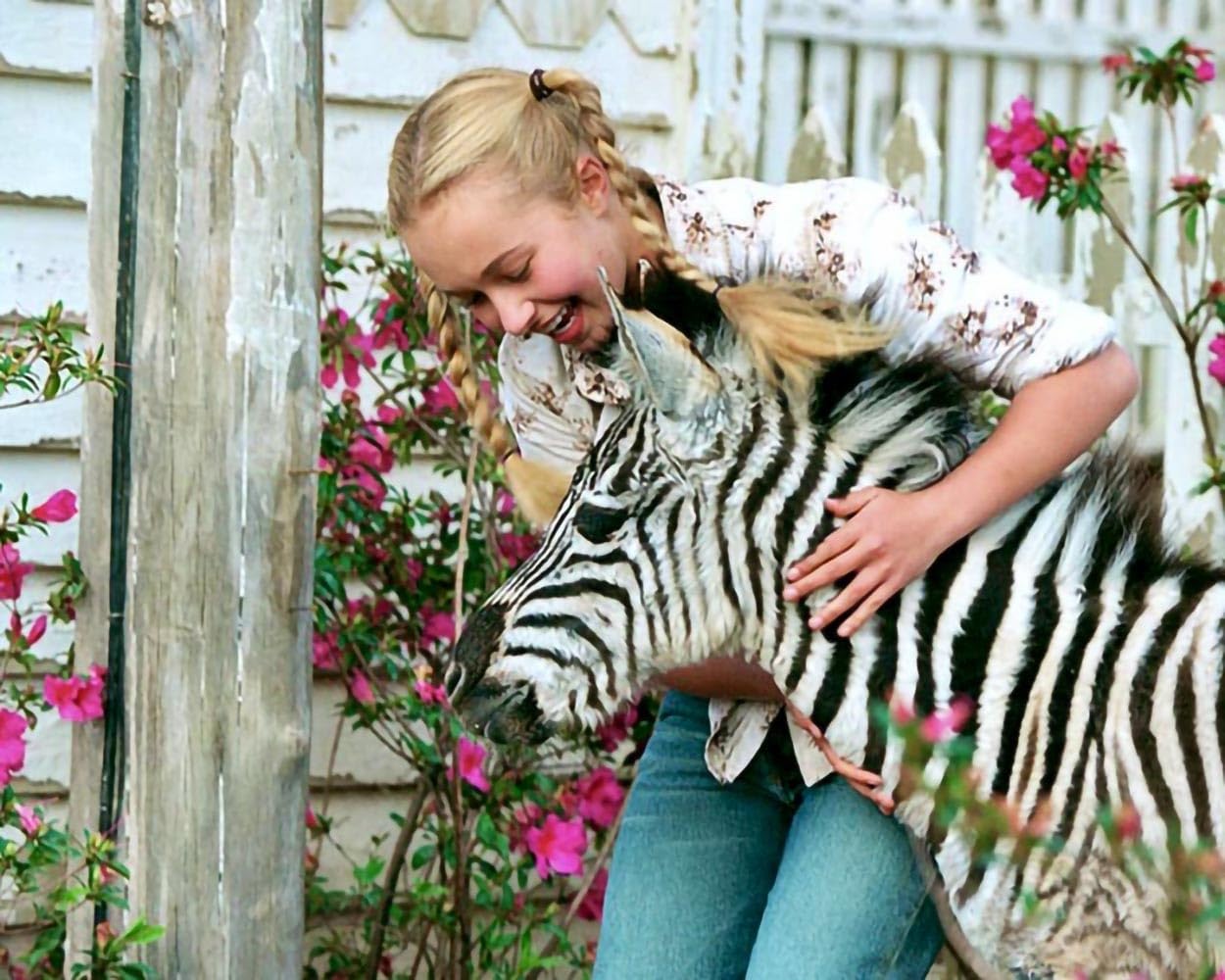Im Rennstall ist das Zebra los! (Racing Stripes) / Liebenswert-witzige Kultkomödie im Stil von "Ein Schweinchen namens Babe" (Pidax Film-Klassiker