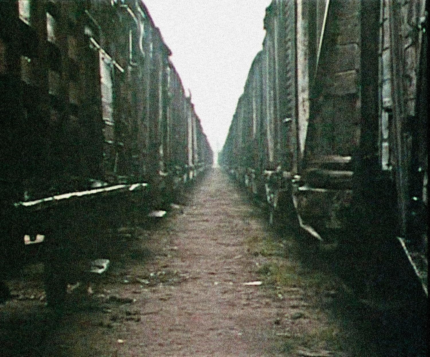 LANZMANN, CLAUDE - SHOAH - RESTAURIERTE FASSUNG