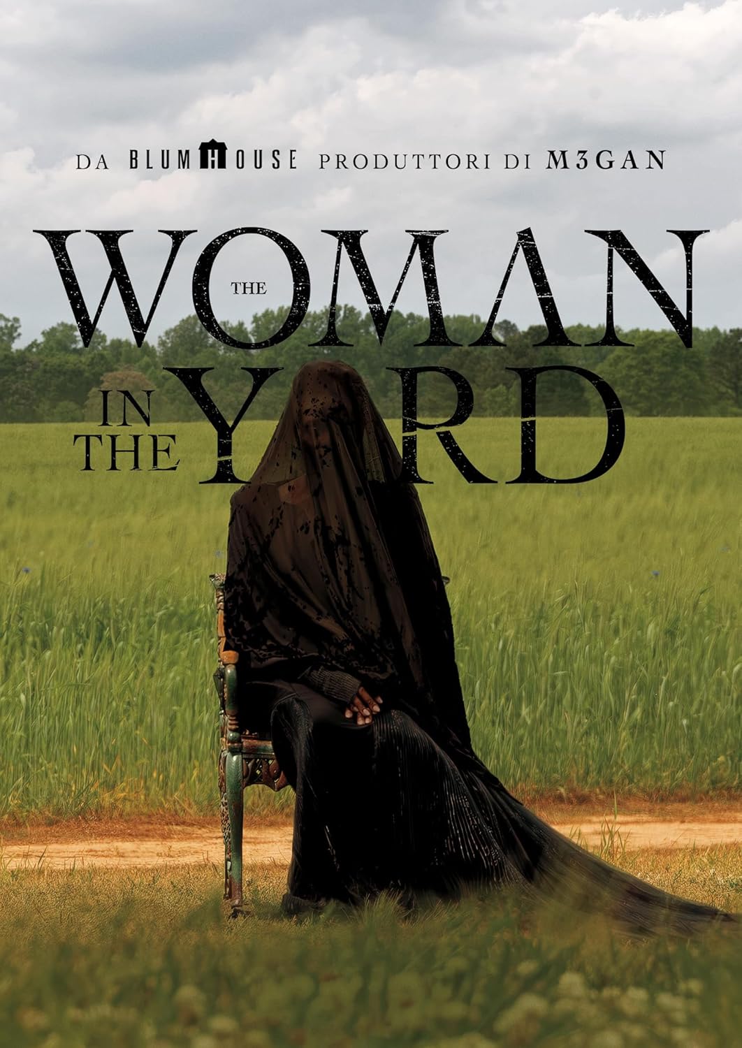 The Woman In The Yard