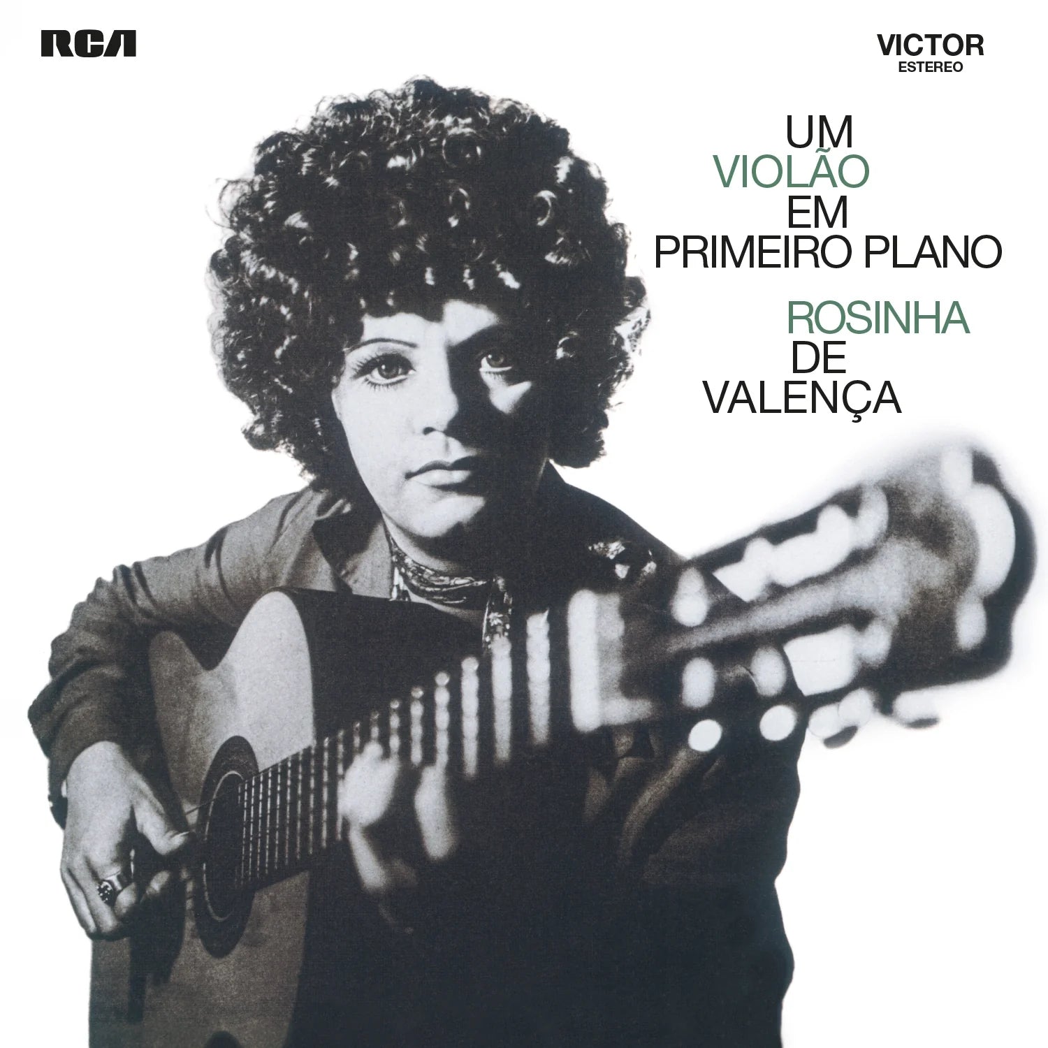 Um Violao Em Primeiro Plano
