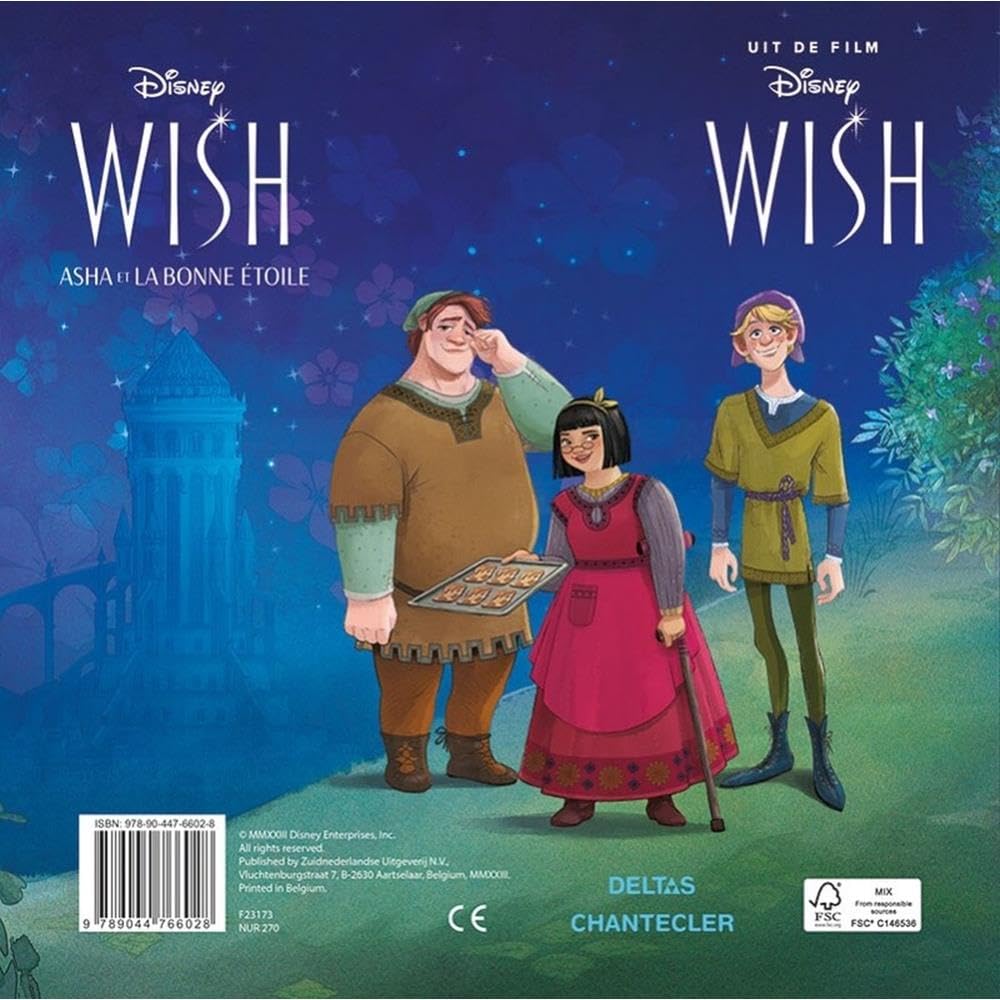 Color Fun Wish