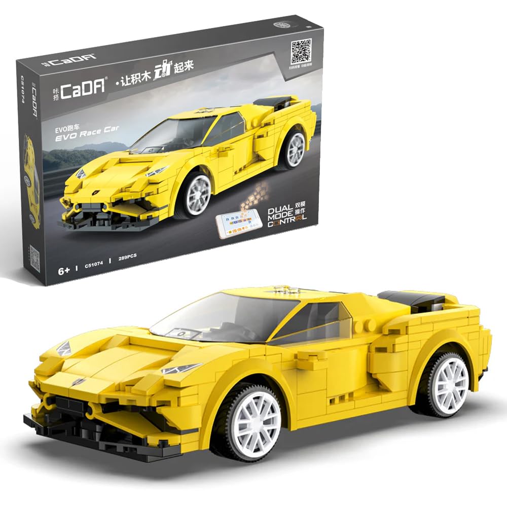 CaDA Ferngesteuertes RC EVO Race Car Blöcke 289 Elemente