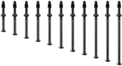 SRAM accessorio valvole quarq tyrewiz 2.0 29,8-37,0mm lunghezza E