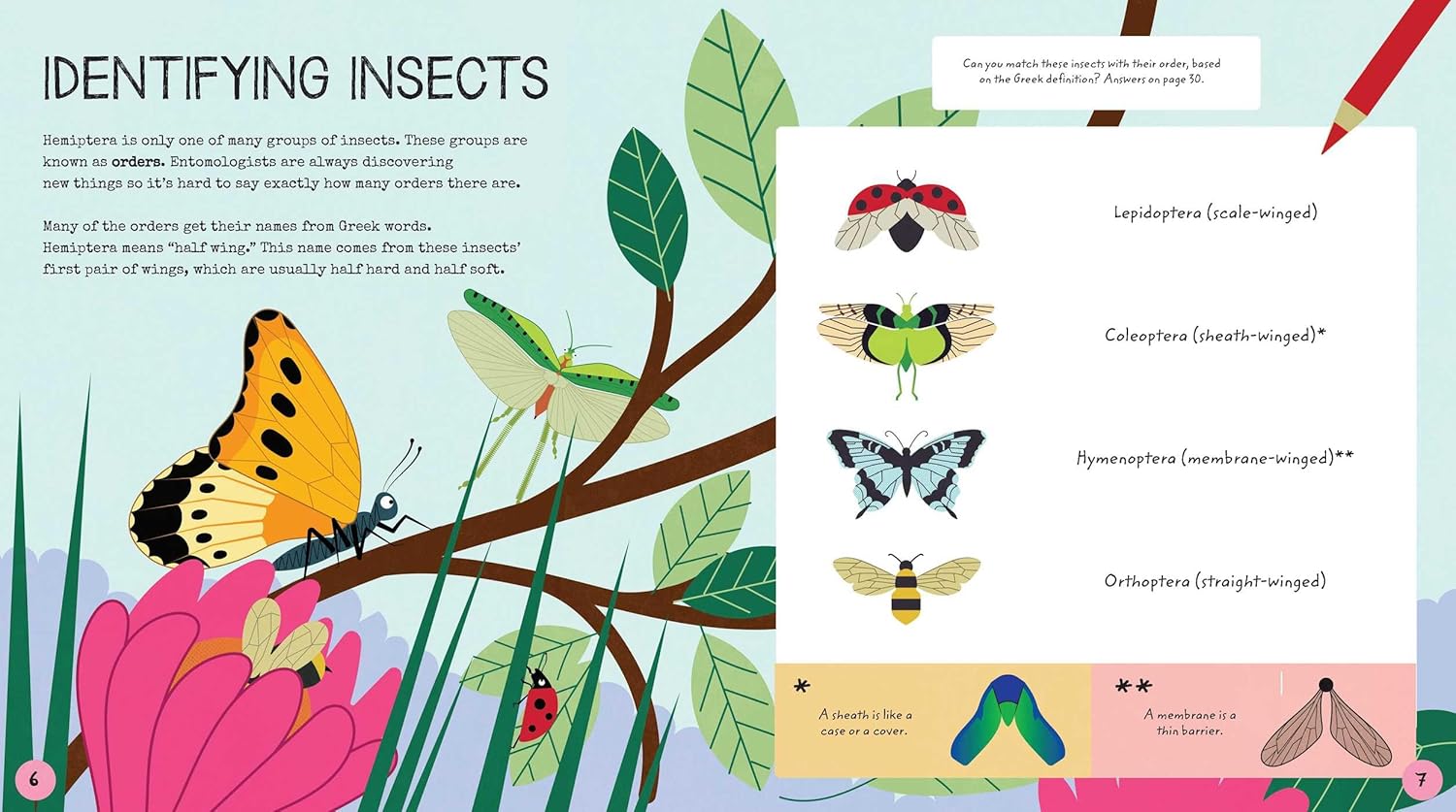 Stem Starters for Kids Insects Activity Book