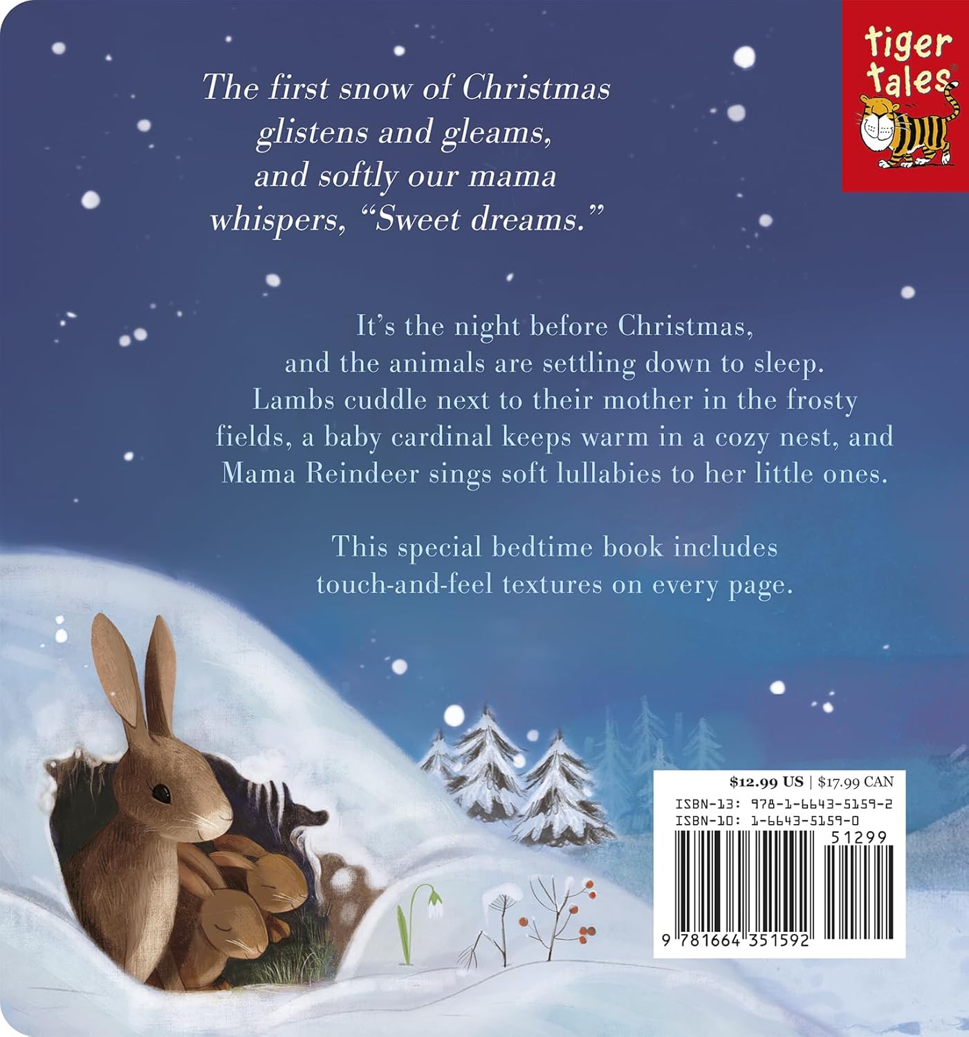 Night Night, Christmas: A Touch-And-Feel Storybook