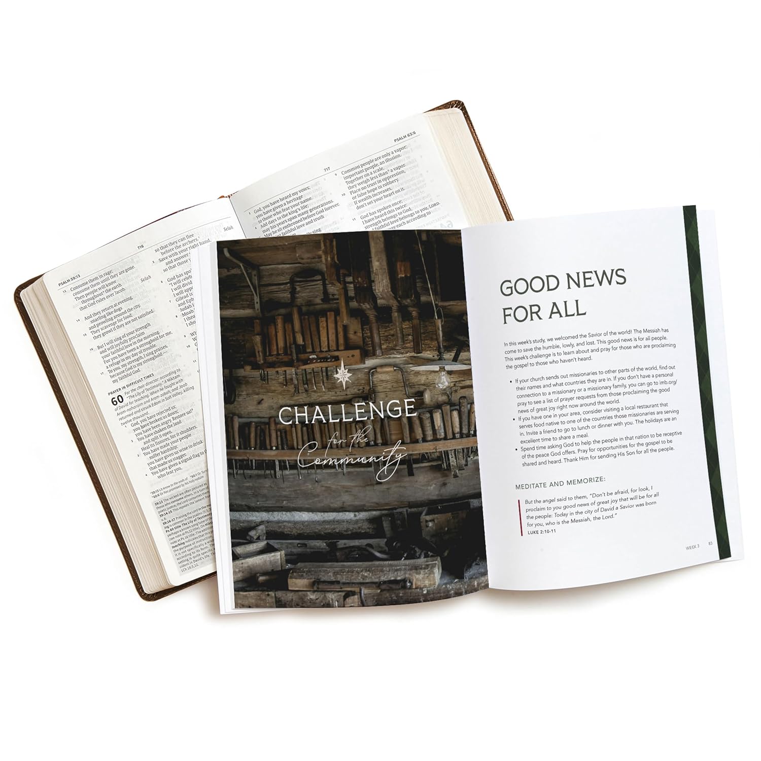 Behold the Savior Bible Study Book