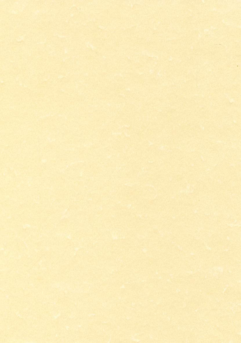 APLI PCL1601 - Papel pergamino champán A4 95 g 100 hojas