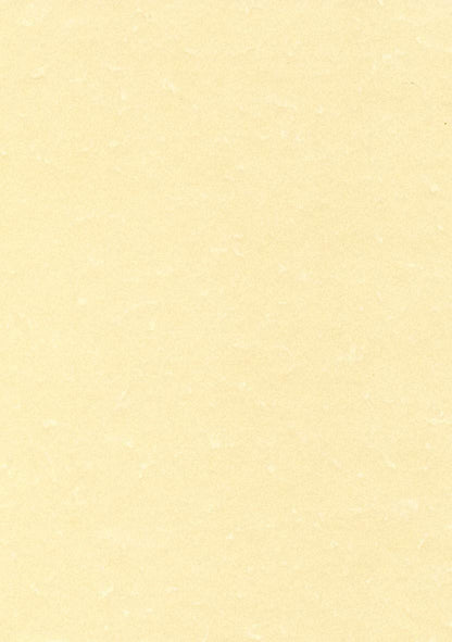 APLI PCL1601 - Papel pergamino champán A4 95 g 100 hojas