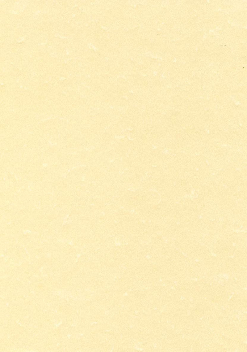 APLI PCL1601 - Papel pergamino champán A4 95 g 100 hojas