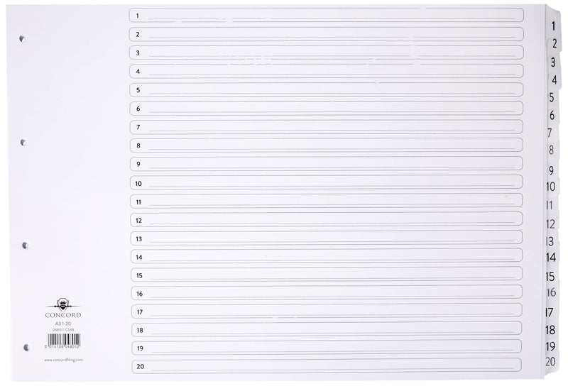 Concord Classic Index Mylar-reinforced Punched 4 Holes 1-20 A3 White Ref 04801/CS48