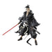 Star Wars The Black Series Ronin, Visionen Action-Figur zum Sammeln (15 cm