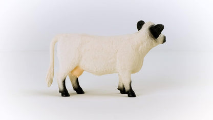 schleich FARM WORLD Gallowaykoe, vanaf 3 jaar, 13960 - Speelfiguur, 4 x 13 x 9 cm