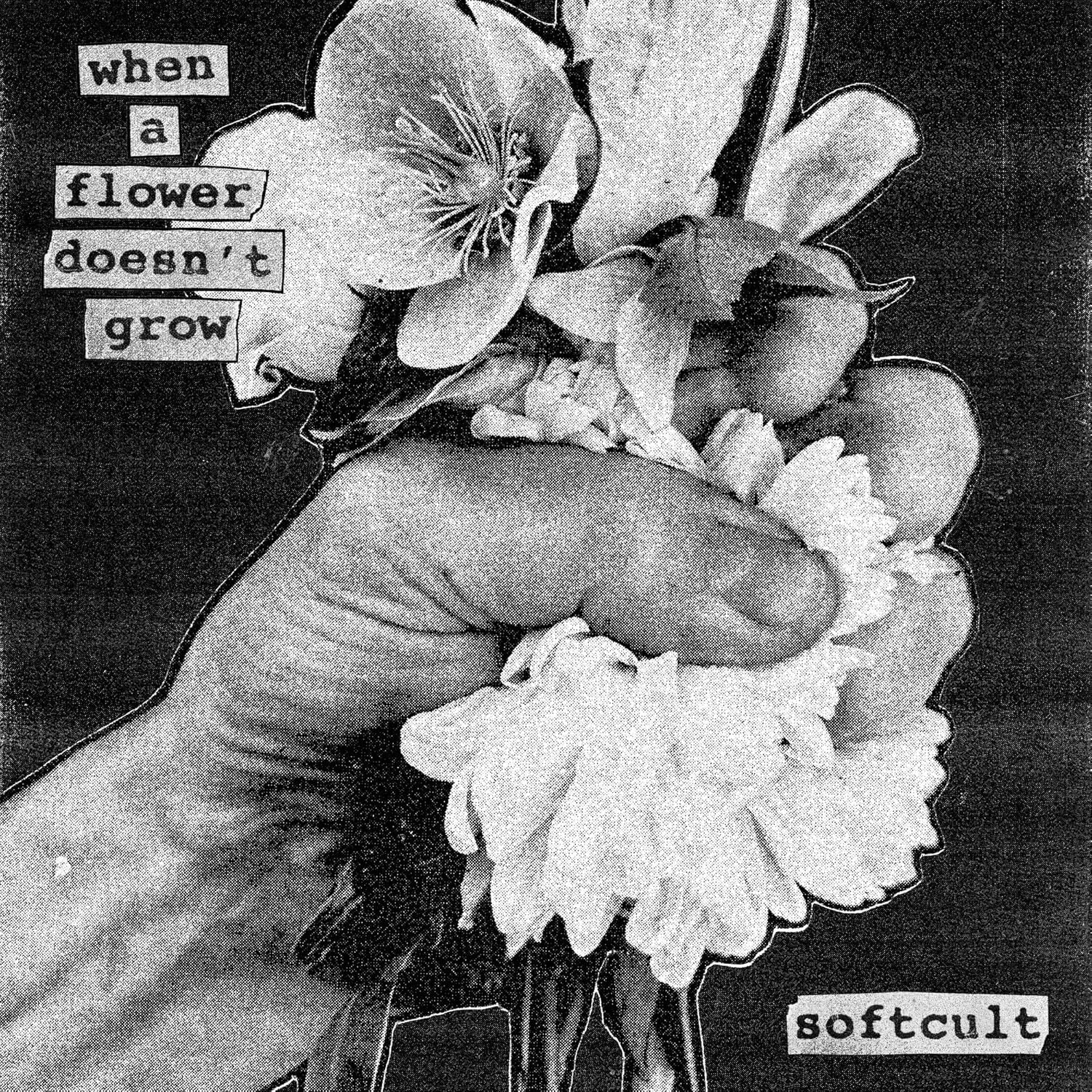 When a Flower Doesn't Grow