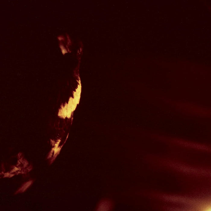 Stormcrowfleet (30th Anniversary Edition)