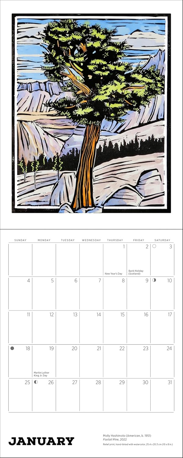 Molly Hashimoto: Lush Landscapes 2026 Mini Wall Calendar