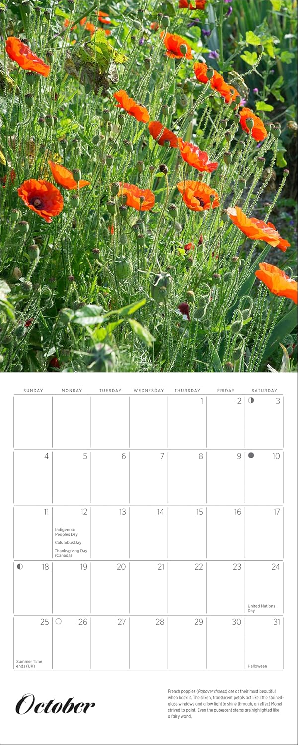 Monet's Passion: The Gardens at Giverny 2026 Mini Wall Calendar