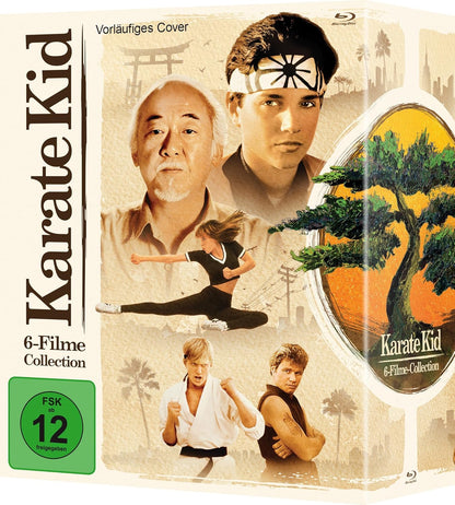 Karate Kid Collection