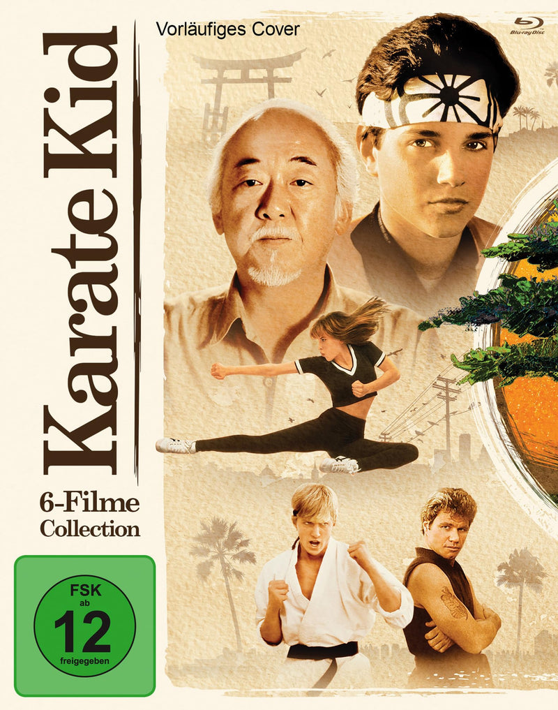 Karate Kid Collection