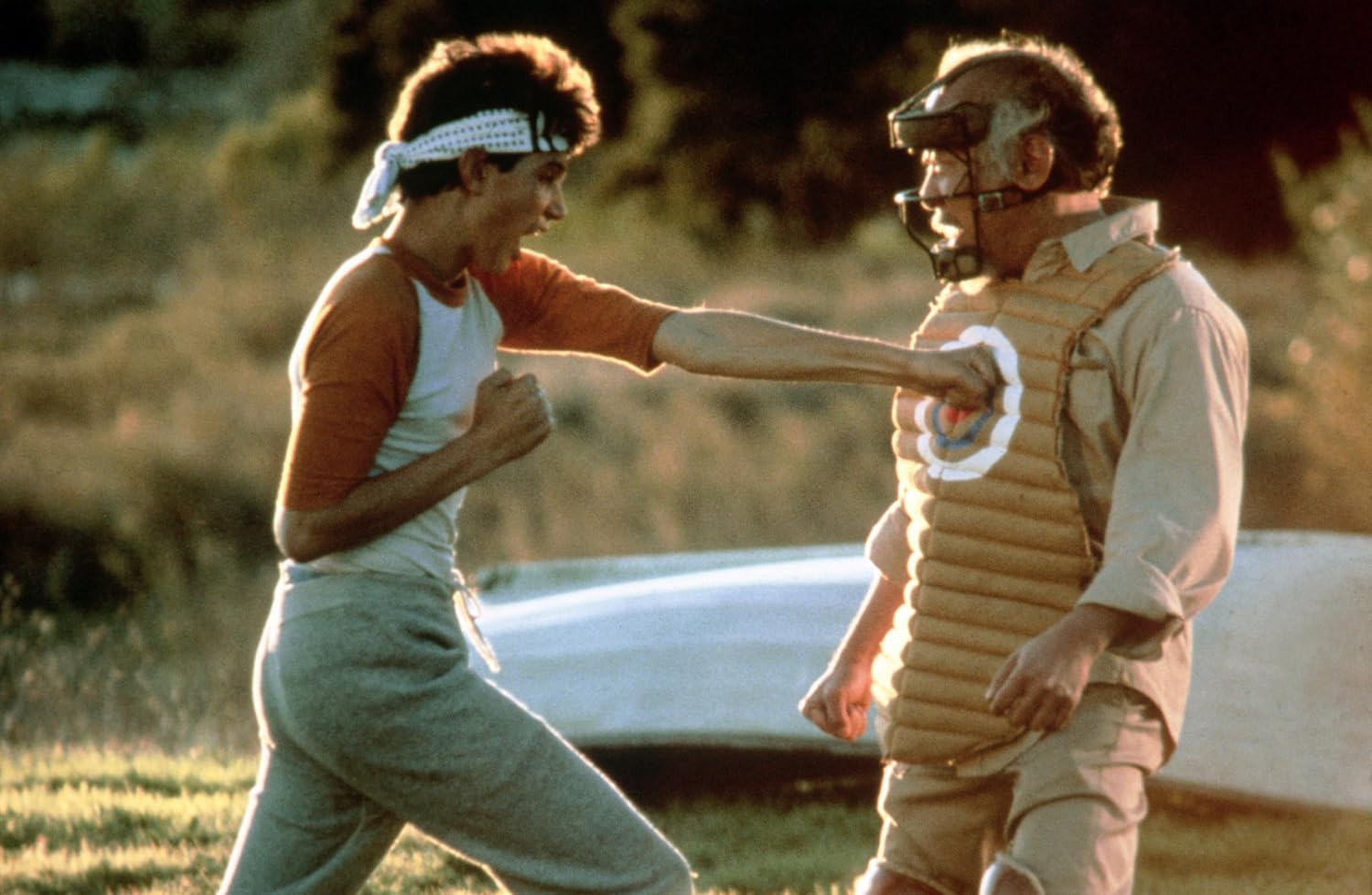 Karate Kid Collection