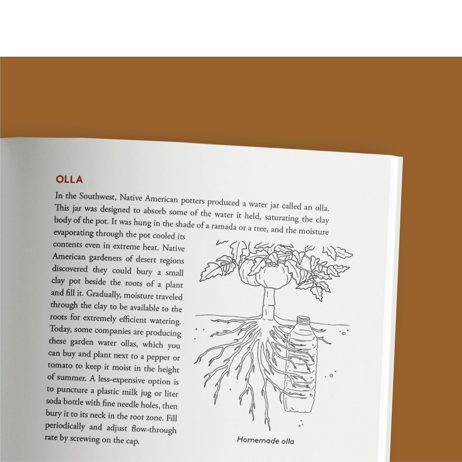 Growing Vegetables in Drought, Desert, and Dry Times, 10th Anniversary Edition: The Complete Guide to Sustainable Low-Water Organic Gardening in a Changing Climate