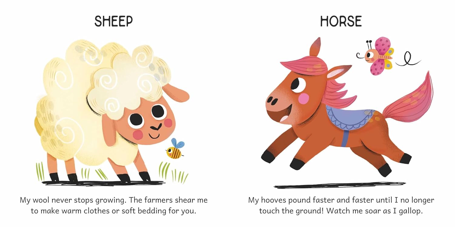 Magnetic Level-Up - On the Farm