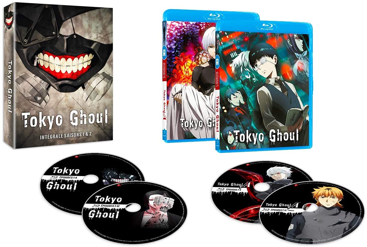 Tokyo Ghoul, Saisons 1 Et 2